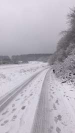 Hundeauslaufgebiet-Schmittenhöhe-Bild