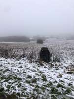 Hundeauslaufgebiet-Schmittenhöhe-Bild