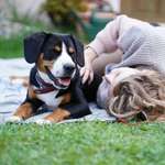 Ersteller:in Jule Profilbild