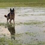 Ersteller:in Lea Profilbild