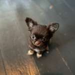 Ersteller:in Jacek Profilbild