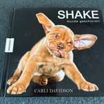 Bücher-Beitrag-Bild