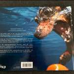 Bücher-Beitrag-Bild