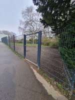 Hundeauslaufgebiet-Hundeauslauf "Gebrüder-Grimm"-Bild