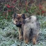 Ersteller:in Nicoletta Profilbild