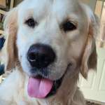 Ersteller:in Tanja Profilbild