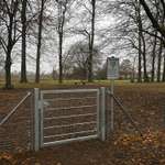 Hundeauslaufgebiet-Freilauffläche für Hunde-Bild