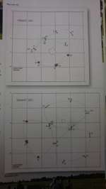 Hoopers-Agility, die "neue" Sportart in Deutschland-Beitrag-Bild