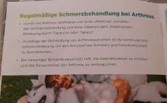 Schmerzlinderung für Hunde-Beitrag-Bild