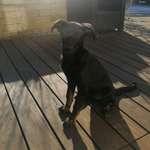 Ersteller:in Kerstin Profilbild