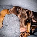 Ersteller:in Lea Profilbild