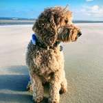 Ersteller:in Gabriele Profilbild