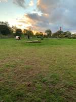 Hundeauslaufgebiet-Eckwaderhörne-Bild