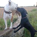 Ersteller:in Barbara Profilbild