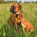 Ersteller:in Meli Profilbild