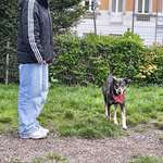 Ersteller:in Joshua Profilbild