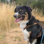 Ersteller:in Maria Profilbild