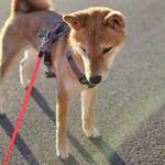 Ersteller:in Daniel Profilbild