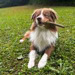 Ersteller:in Lisa Profilbild