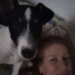 Ersteller:in Stumpf Profilbild