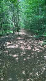 Hundeauslaufgebiet-Fockbeker Moor-Bild