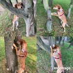 Beschäftigungsideen gesucht 😊-Beitrag-Bild