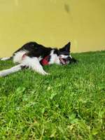 Angstborder loskriegen ?!-Beitrag-Bild