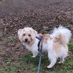 Ersteller:in Rene Profilbild