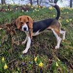 Ersteller:in G Profilbild