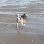 Ersteller:in Edith Profilbild