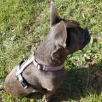 Ersteller:in Silke Profilbild