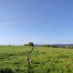 Ersteller:in Anna Profilbild