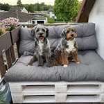 Ersteller:in Steven Profilbild