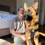 Ersteller:in Dominik Profilbild