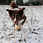 Ersteller:in Selina Profilbild