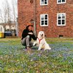 Ersteller:in Hansen Profilbild