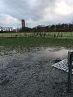 Hundeauslaufgebiet-Hundewiese St. Tönis-Bild