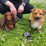 Ersteller:in Isa Profilbild