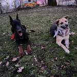 Ersteller:in Hannah Profilbild