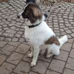 Ersteller:in Angelina Profilbild