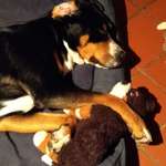 Ersteller:in Bee Profilbild