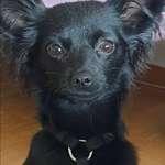 Ersteller:in Heike Profilbild