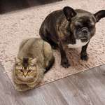 Ersteller:in Katharina Profilbild