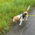 Ersteller:in Maria Profilbild