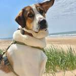 Ersteller:in Jana Profilbild