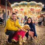 Ersteller:in Anshal Profilbild