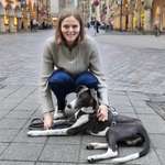 Ersteller:in Lara Profilbild