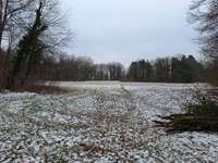 Hundeauslaufgebiet-Wasserwald-Bild