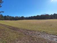 Hundeauslaufgebiet-Wasserwald-Bild