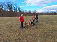 Hundeauslaufgebiet-Wasserwald-Bild